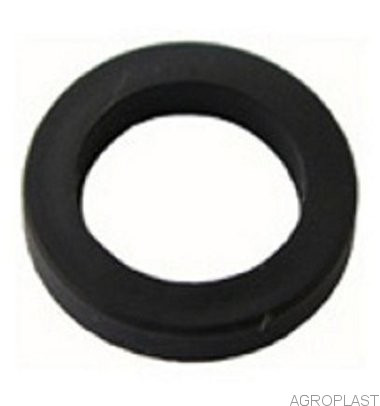 Уплотнительное кольцо  (под корпус  0-100/07 и керамическии диск)